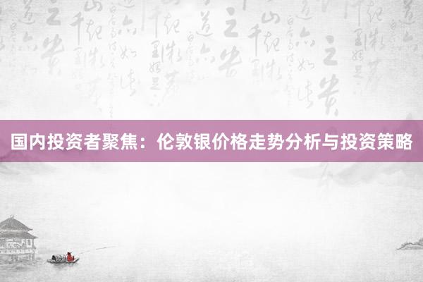 国内投资者聚焦：伦敦银价格走势分析与投资策略